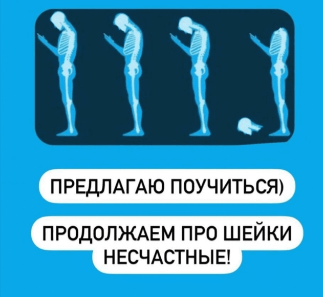 [Екатерина Васильева] Лебединая шея (2023)_0.png